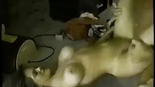 Sex tape film porno gratuit américain maison