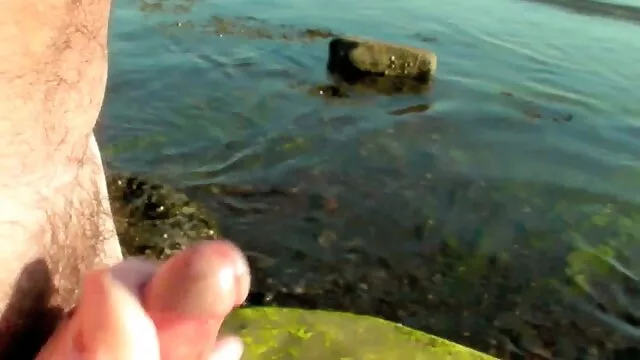 Kimber film porno francais en streaming et tritan